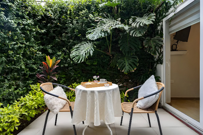 Patio-Trasero